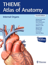 Abbildung von: Internal Organs (THIEME Atlas of Anatomy) - Thieme Publishers