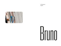 Enlarge image Cover: Bruno - permanent Verlag
