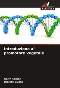Cover: Introduzione al promotore vegetale - Edizioni Sapienza