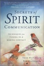 Cover: Secrets of Spirit Communication - Llewellyn Publications
