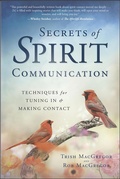 Cover: Secrets of Spirit Communication - Llewellyn Publications