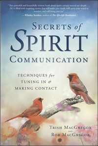 Enlarge image Cover: Secrets of Spirit Communication - Llewellyn Publications