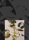 Cover: Kandis Williams: A Surface - Walker Art Centre,U.S.