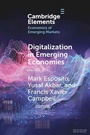 Cover: Digitalization in Emerging Economies - Cambridge University Press