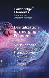 Abbildung von: Digitalization in Emerging Economies - Cambridge University Press