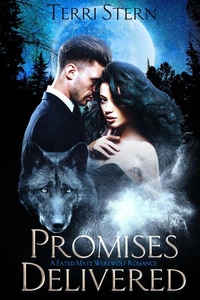 Enlarge image Cover: Promises Delivered - Terri Stern
