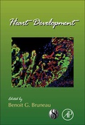 Cover: Heart Development: Volume 100 - Academic Press