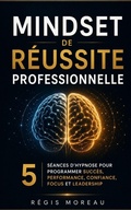 Cover: Mindset de R&eacute;ussite Professionnelle - Branching Plot Books