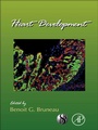 Cover: Heart Development - Academic Press