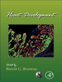Enlarge image Cover: Heart Development - Academic Press