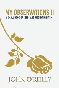 Enlarge image Cover: My Observations II - Austin Macauley Publishers LLC