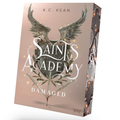 Cover: Saints Academy 2 - Damaged - booXperts - logiXperts GmbH