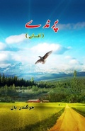 Cover: Parinde (Short Stories) (Editionfirst) - Taemeer Publications