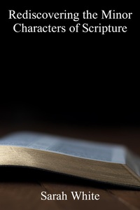 Abbildung von: Rediscovering the Minor Characters of Scripture - Northwood Lore Books