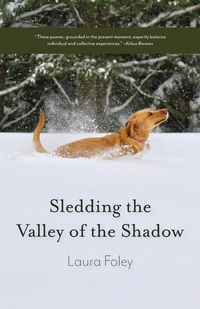 Enlarge image Cover: Sledding the Valley of the Shadow - Fernwood Press