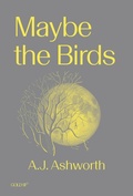 Cover: Maybe the Birds - Goldsmiths Press