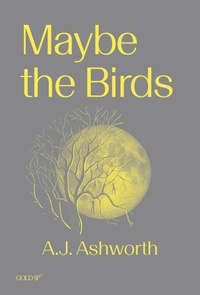 Enlarge image Cover: Maybe the Birds - Goldsmiths, University of London