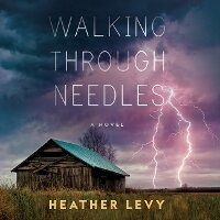 Enlarge image Cover: Walking Through Needles - DREAMSCAPE MEDIA