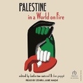 Cover: Palestine in a World on Fire - Tantor Audio