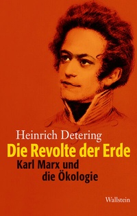 Abbildung von: Die Revolte der Erde - Wallstein