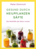 Cover: Gesund durch Heilpflanzens&auml;fte - Silberschnur