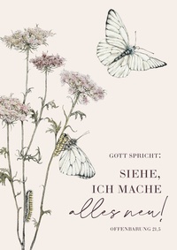 Abbildung von: Jahreslosung 2026 - Poster A3 - adeo Verlag