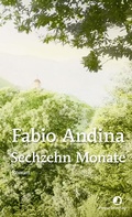 Cover: Sechzehn Monate - Rotpunktverlag
