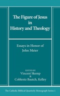 Cover: The Figure of Jesus in History and Theology - Pickwick Publications