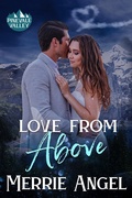 Cover: Love From Above (Pinevale Valley, #5) - First Coast Romance Writers