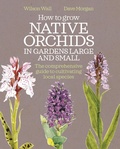 Cover: How to Grow Native Orchids in Gardens Large and Small - Bloomsbury Publishing PLC
