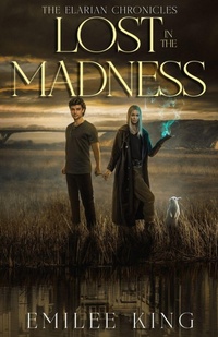 Enlarge image Cover: Lost in the Madness - Emilee King