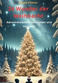 Cover: 24 Wunder der Weihnacht - EDITION digital