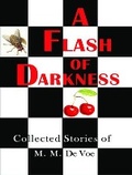 Cover: A Flash of Darkness - Noleta Press LLC