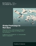 Cover: Global Pathways to Net-Zero - National Academies Press