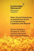 Cover: State-Owned Enterprises as Institutional Actors in Contemporary Capitalism and Beyond - Cambridge University Press