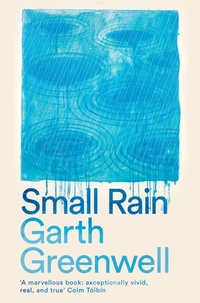 Abbildung von: Small Rain - Picador