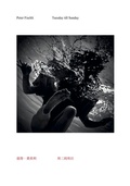 Cover: Peter Fischli. Tuesday till Sunday - K&ouml;nig, Walther
