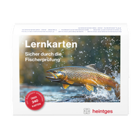 Enlarge image Cover: Lernkarten - Heintges Lehr- und Lernsystem GmbH
