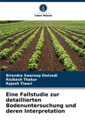Cover: Eine Fallstudie zur detaillierten Bodenuntersuchung und deren Interpretation - International Book Market Service Ltd
