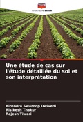 Cover: Une etude de cas sur l'etude detaillee du sol et son interpretation - International Book Market Service Ltd