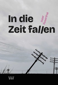 Enlarge image Cover: In die Zeit fallen - Weissmann Verlag