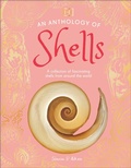 Cover: An Anthology of Shells - DK Children