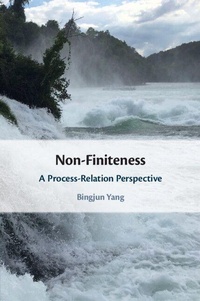 Enlarge image Cover: Non-Finiteness - Cambridge University Press