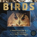 Cover: Birds - Workman Adult