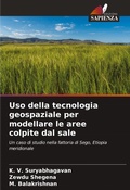 Cover: Uso della tecnologia geospaziale per modellare le aree colpite dal sale - Edizioni Sapienza