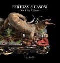 Cover: Bertozzi & Casoni - Franco Maria Ricci Editore
