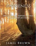 Cover: Awareness. Beyond The Veil - Jamie Brown