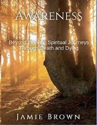 Enlarge image Cover: Awareness. Beyond The Veil - Jamie Brown