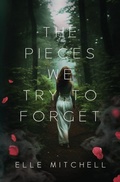 Cover: The Pieces We Try to Forget - The Pieces We Try to Forget