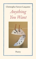 Cover: Anything You Want - Wet Cement Press